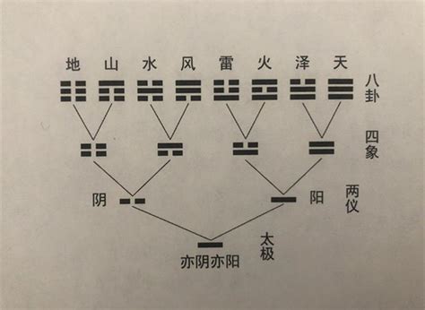 动爻怎么看|六爻动爻详解大全